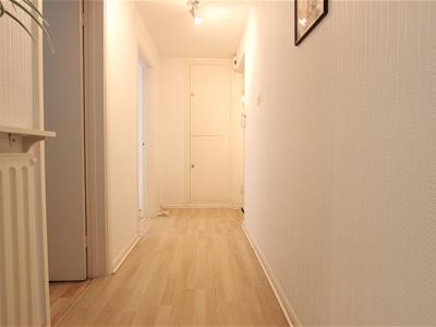 Picture 12